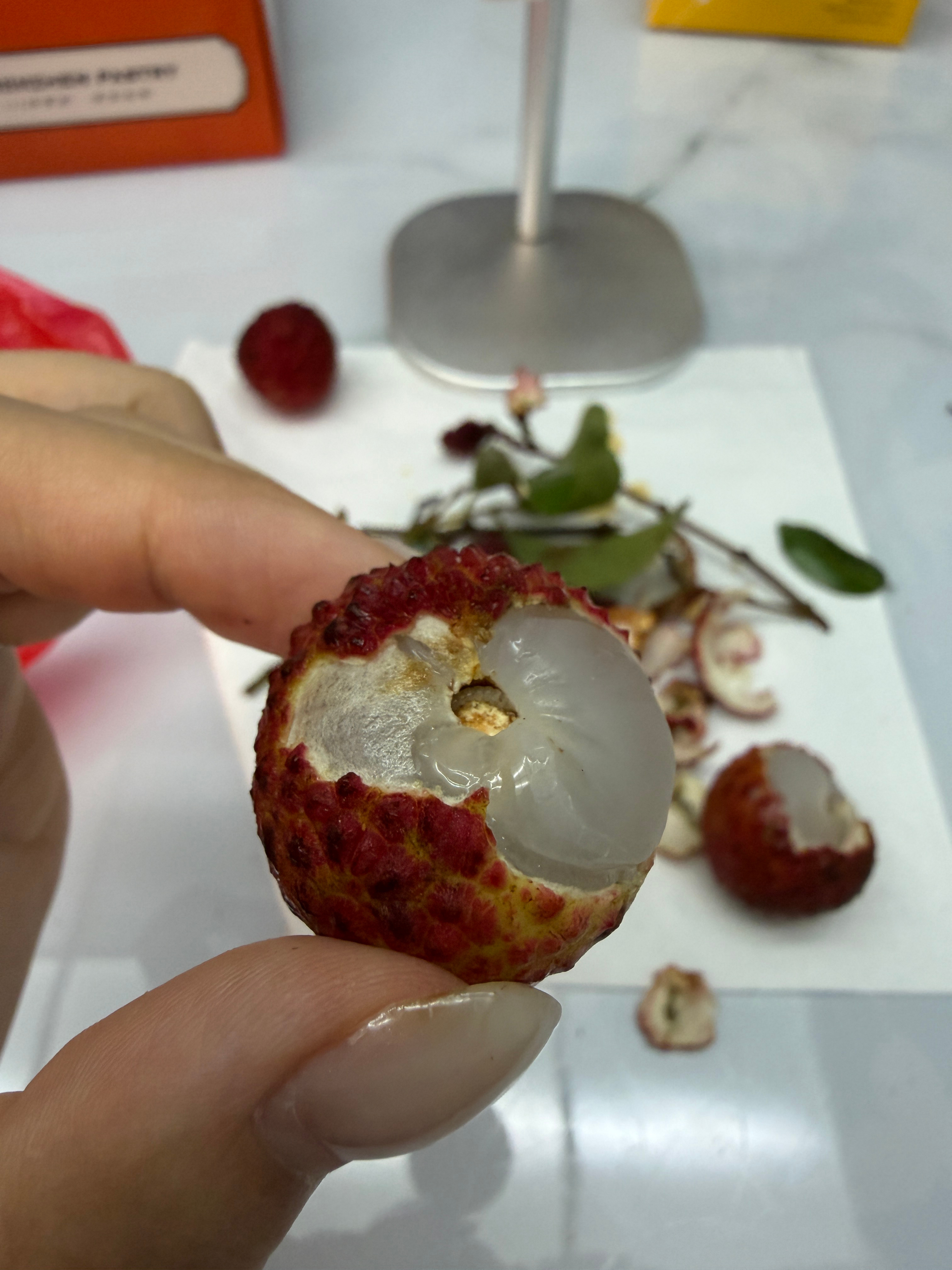 MM们吃荔枝的时候一定要看好，有可能会有这种小虫子表面完好无损的荔枝，这个小虫子
