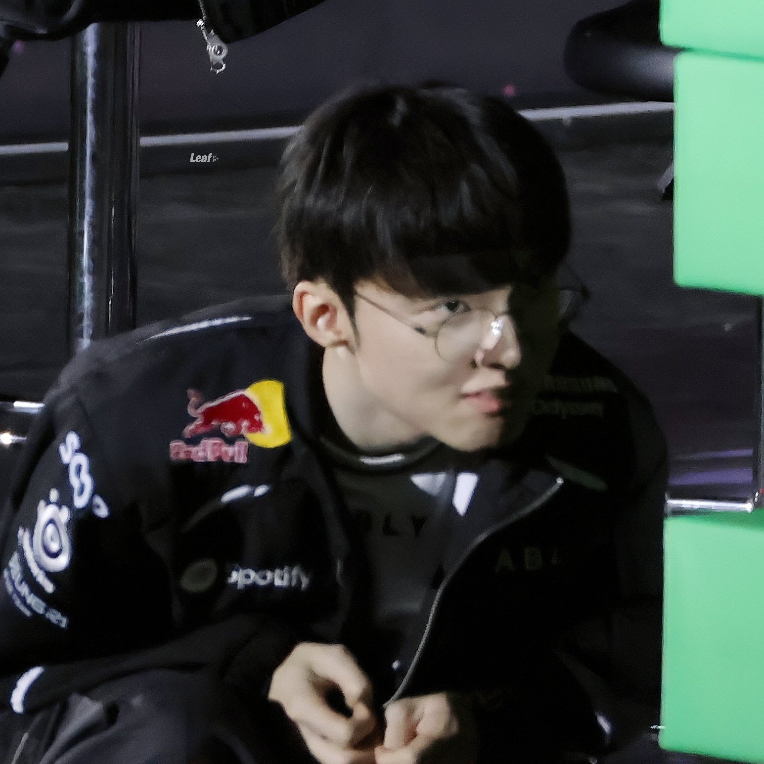 🐈⬛cr leaf_andleaves 
