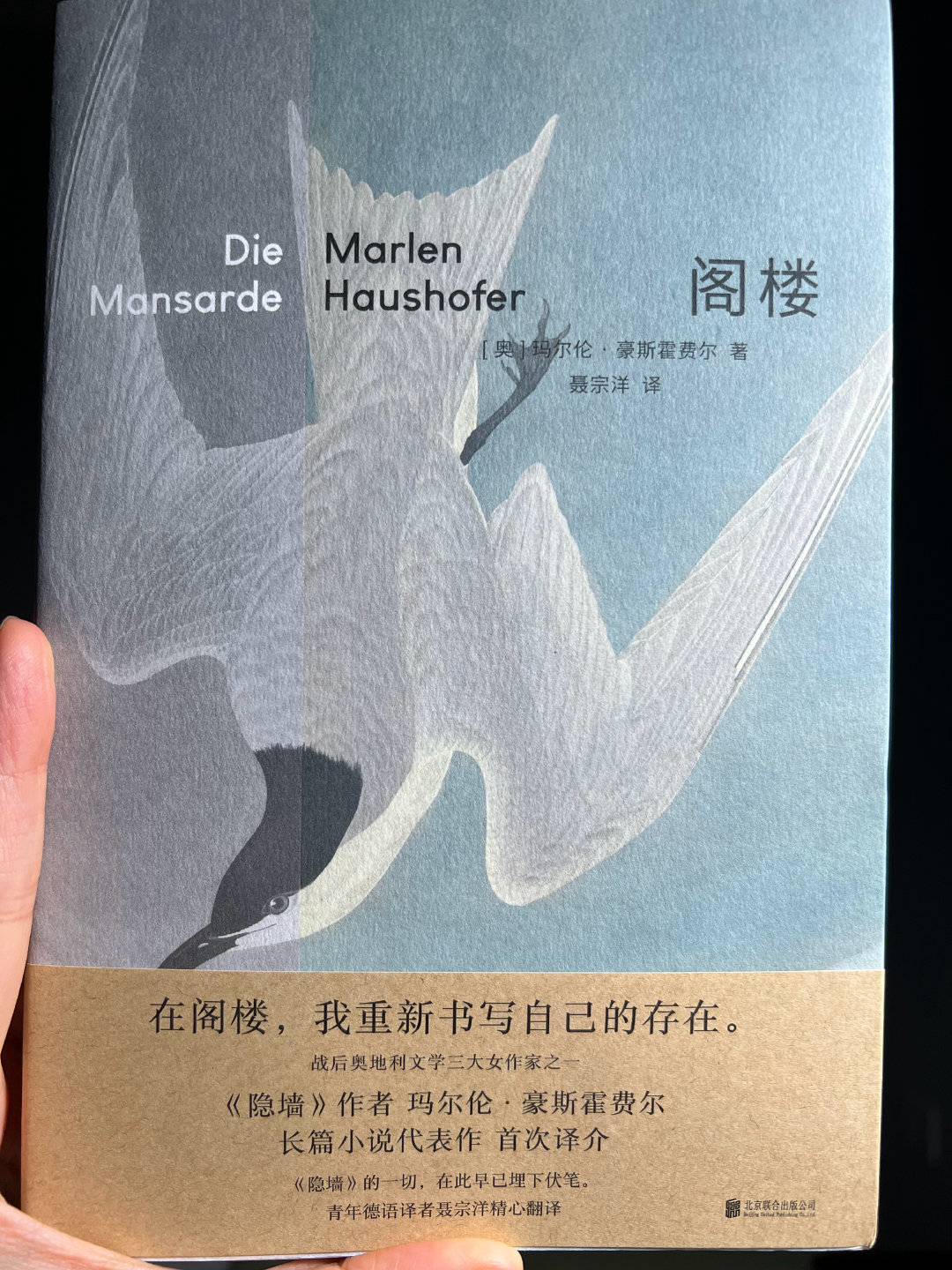 昨天半夜读完《阁楼》，从一开始顺着线索解谜，到最后拼凑出女主角在婚姻里经历的故事