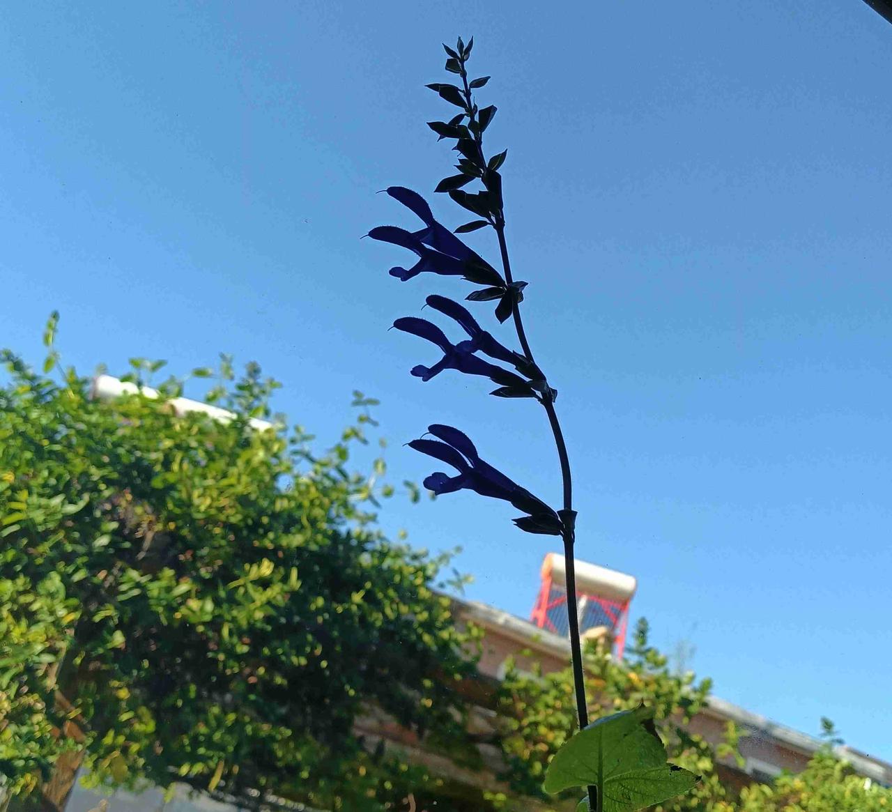 我的今日状态：😁轻松愉快
我这里的天气：☀️晴天