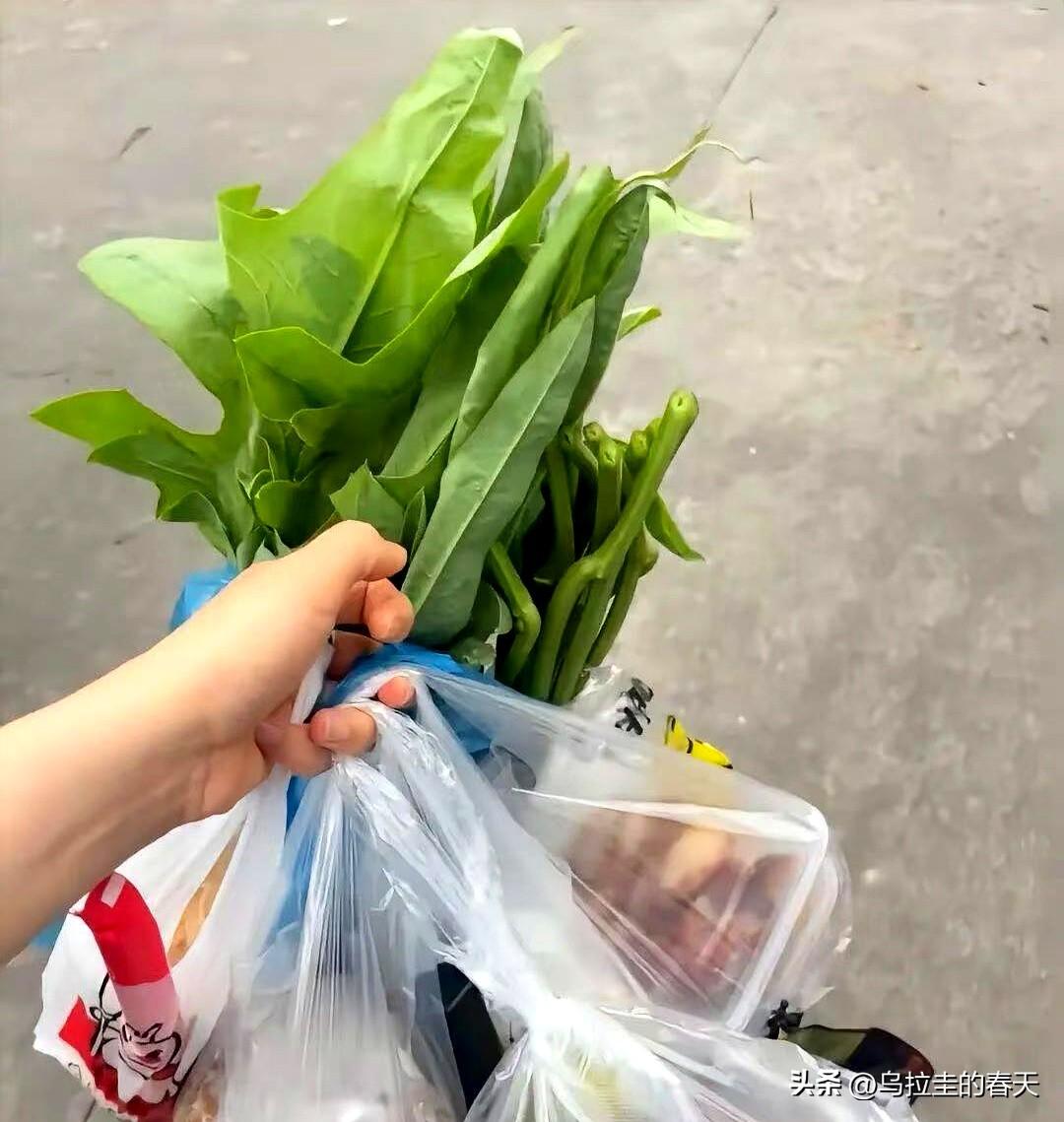 这几天一入三伏，外头热得人直冒汗，楼下那位62岁的退休阿姨却像没事人一样，日子过