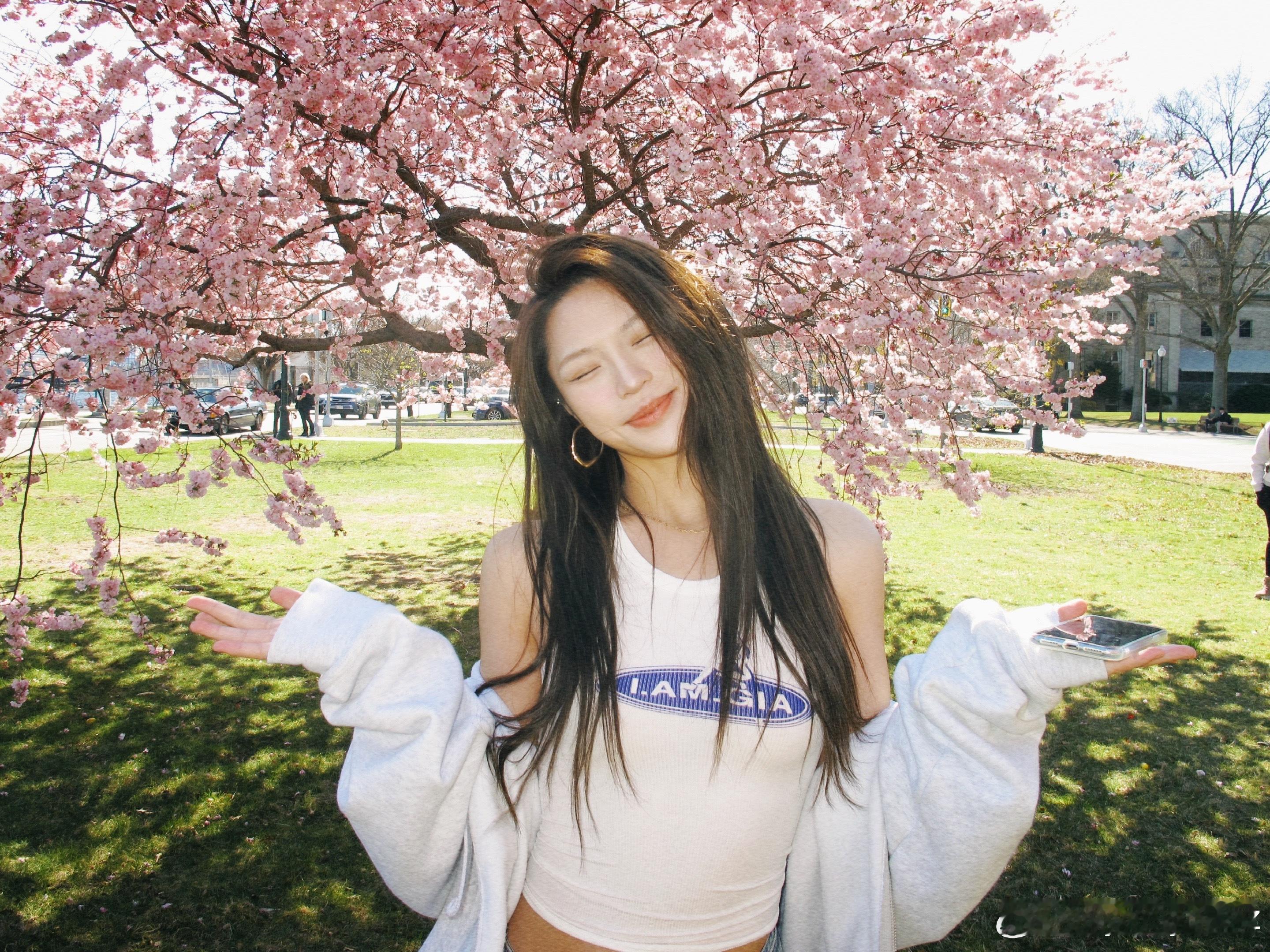 樱花🌸开啦 ​​​