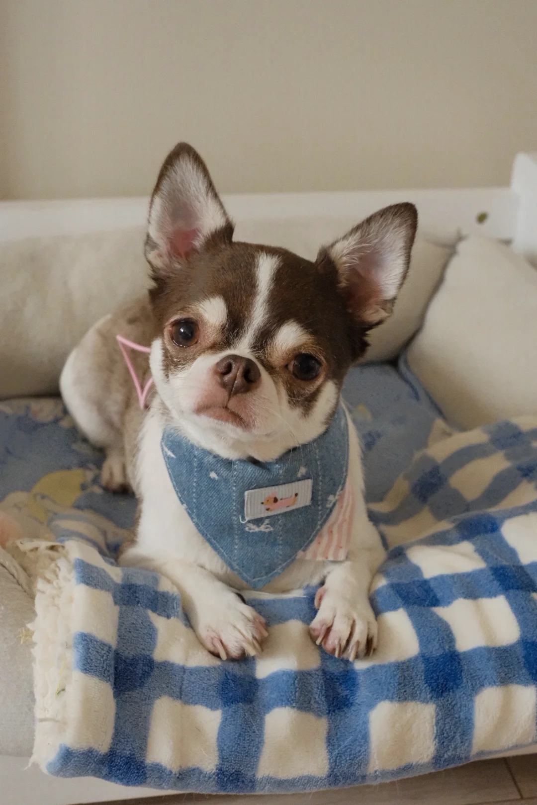 生日快乐小扑满｜要一直在我身边快乐成长