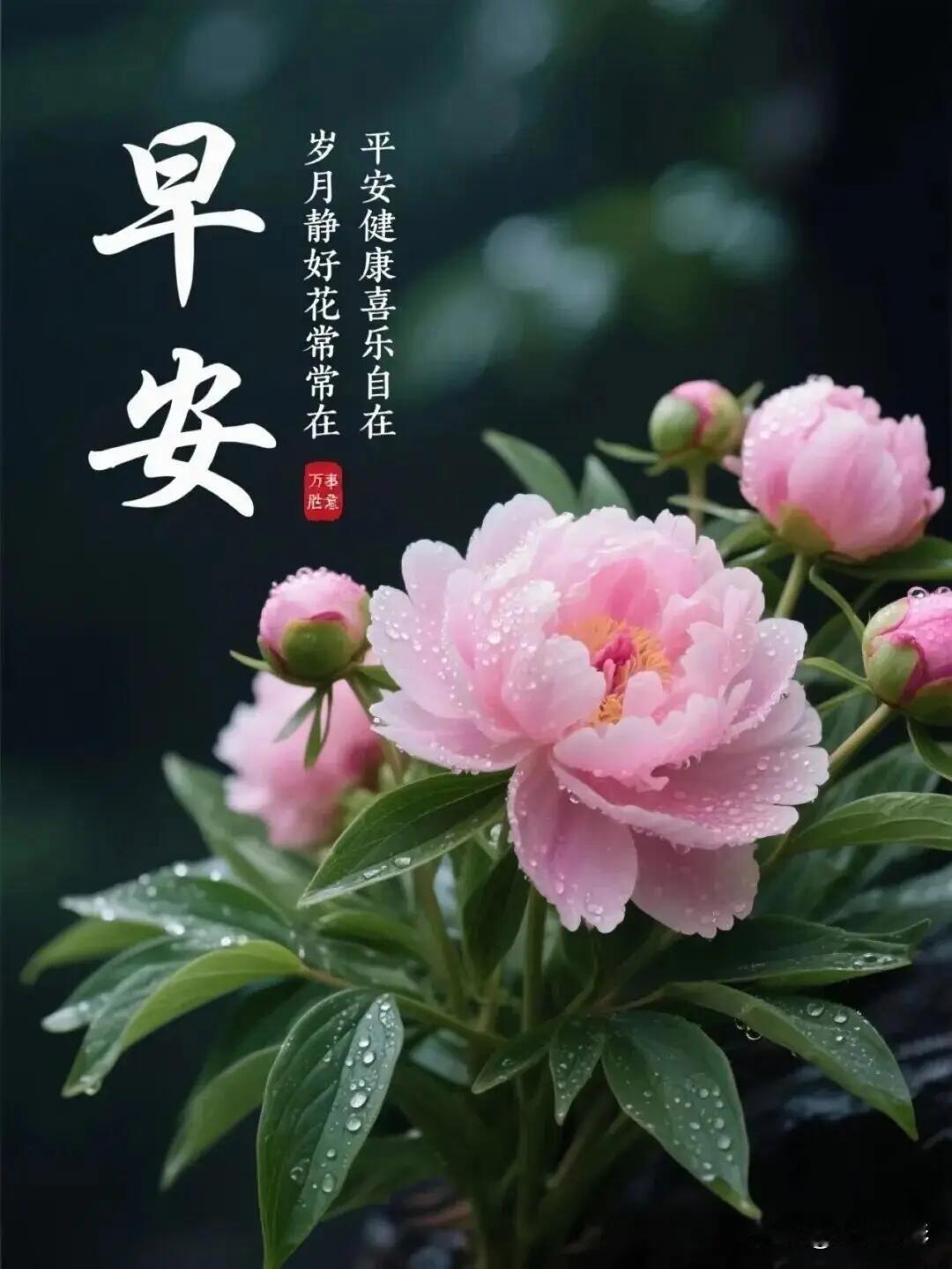 早安｜放下内耗，自有清风奔赴而来
 
清晨的阳光漫过窗棂，吹散昨夜纠结辗转的心事