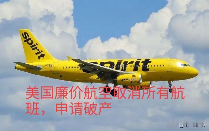 美国总统特朗普搬起石头砸自己的脚

多架美国廉价航空公司直接宣告破产保护，减少运