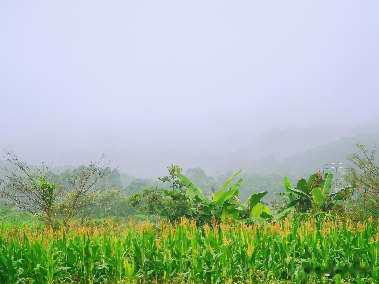 雨后乡村风景