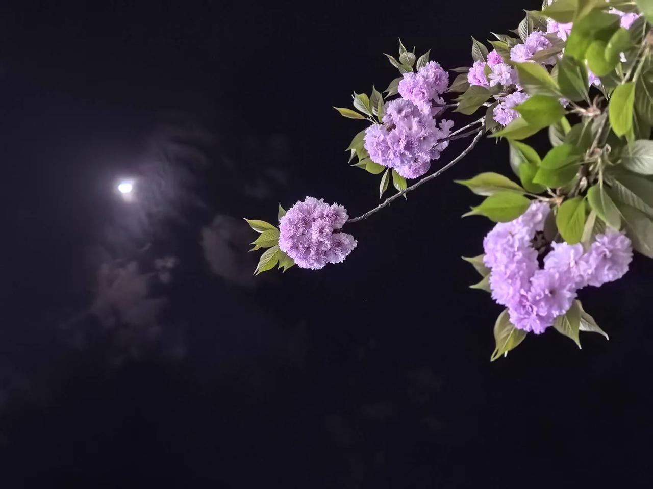 上联:忽如一夜双休来
下联:（欢迎你来对）
       这是昨天校长在大会上说