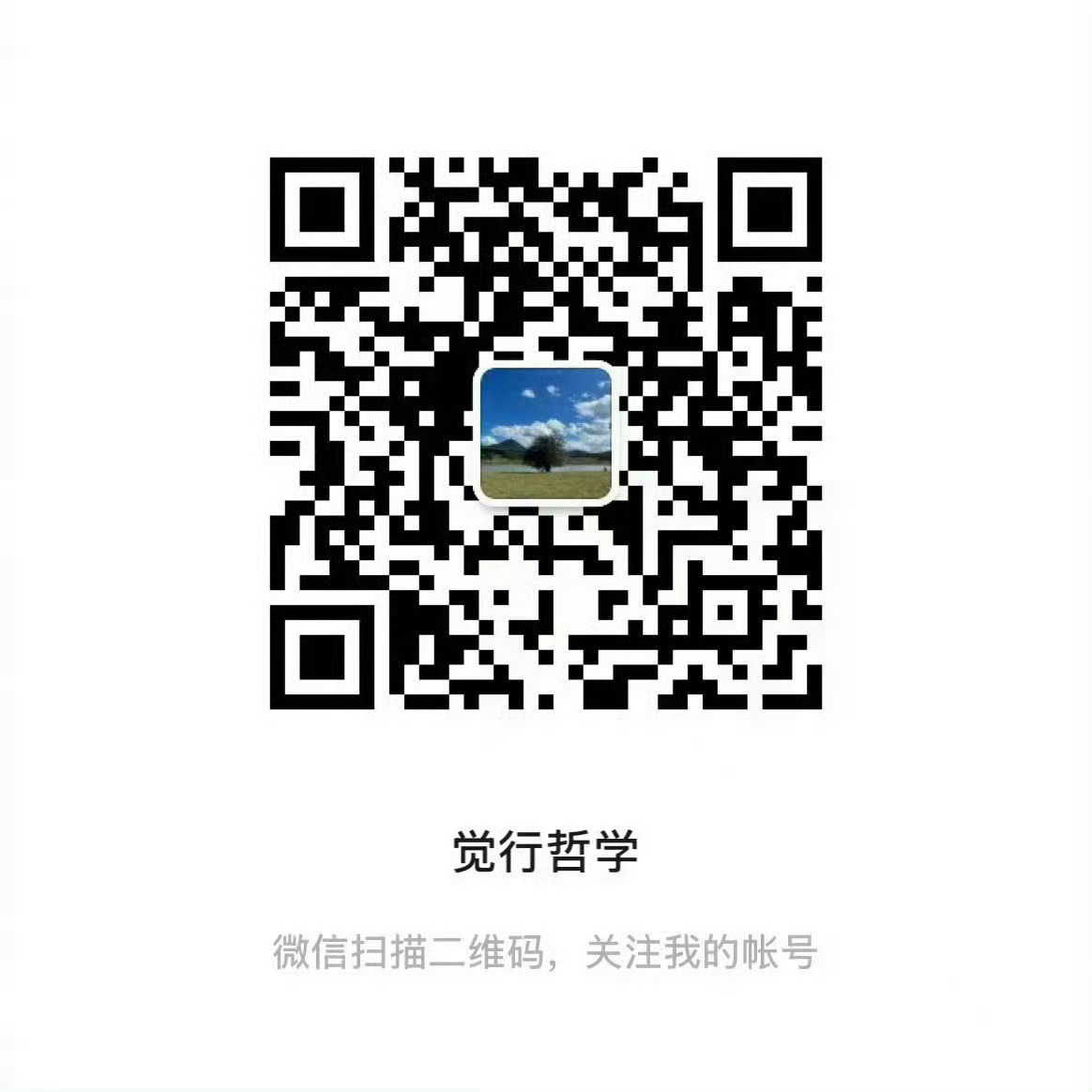 一套非常适合用来落地实践的哲学体系，《觉行哲学》微信公众号启航，欢迎大家关注。