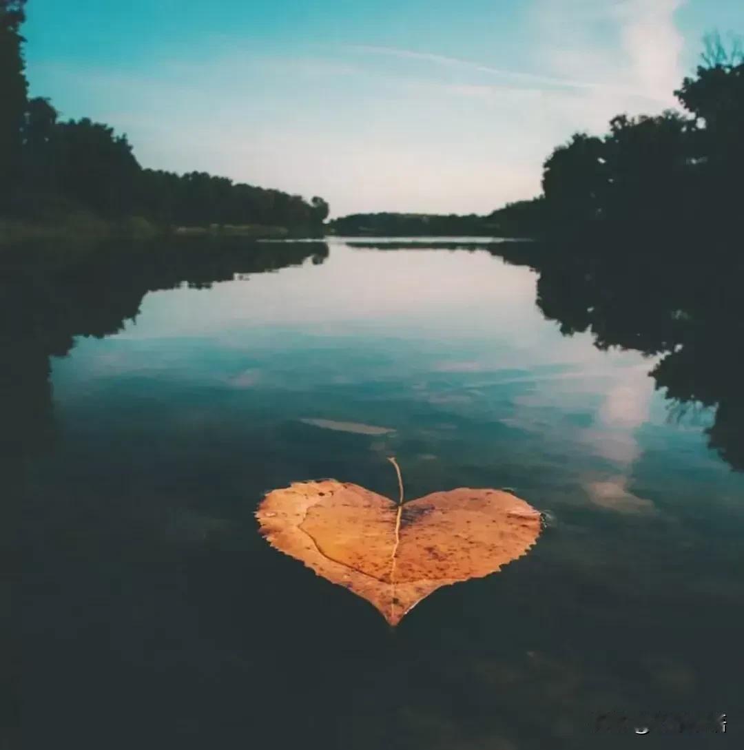 醍醐灌顶的一句话：
“所有的文化都是
为了让你变得愚蠢和贫穷。
真正有价值的能赚