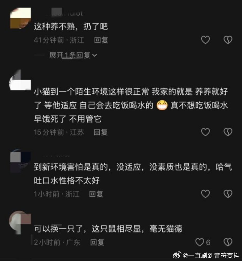 【抵制弃养】此地面对生命该负起的责任心简直就是一片洼地，流浪🐱怎么来的看这个p