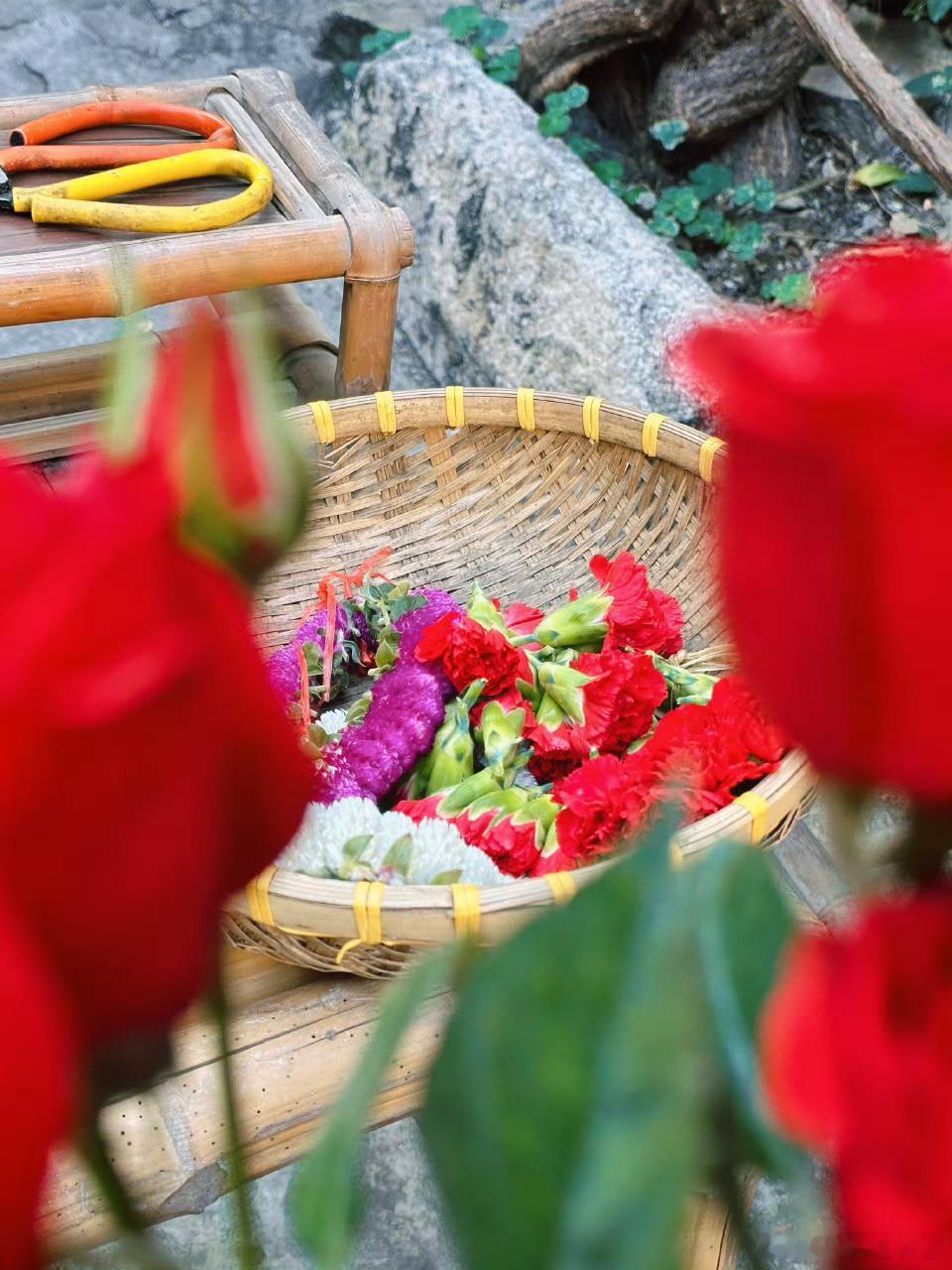 黄俊捷 这组图我好喜欢！接地气的生活感让人觉得很亲近