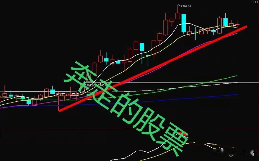 牛市来了，股民都在赚钱，那么最终谁来掏腰包？
我来回答你吧，羊毛最终出在羊身上。
