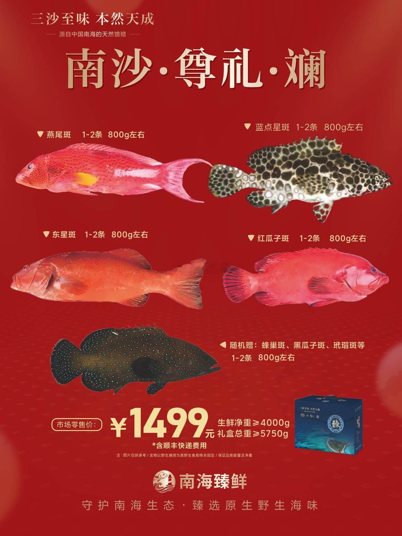 大家早上好  ​​​