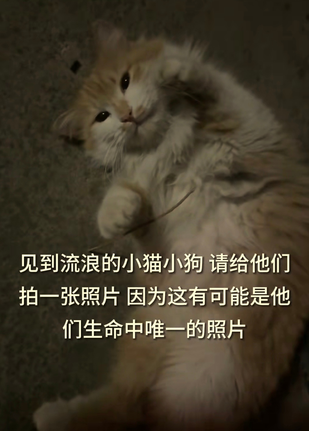 每当看到这些善良的人，就觉得世界还值得。 
