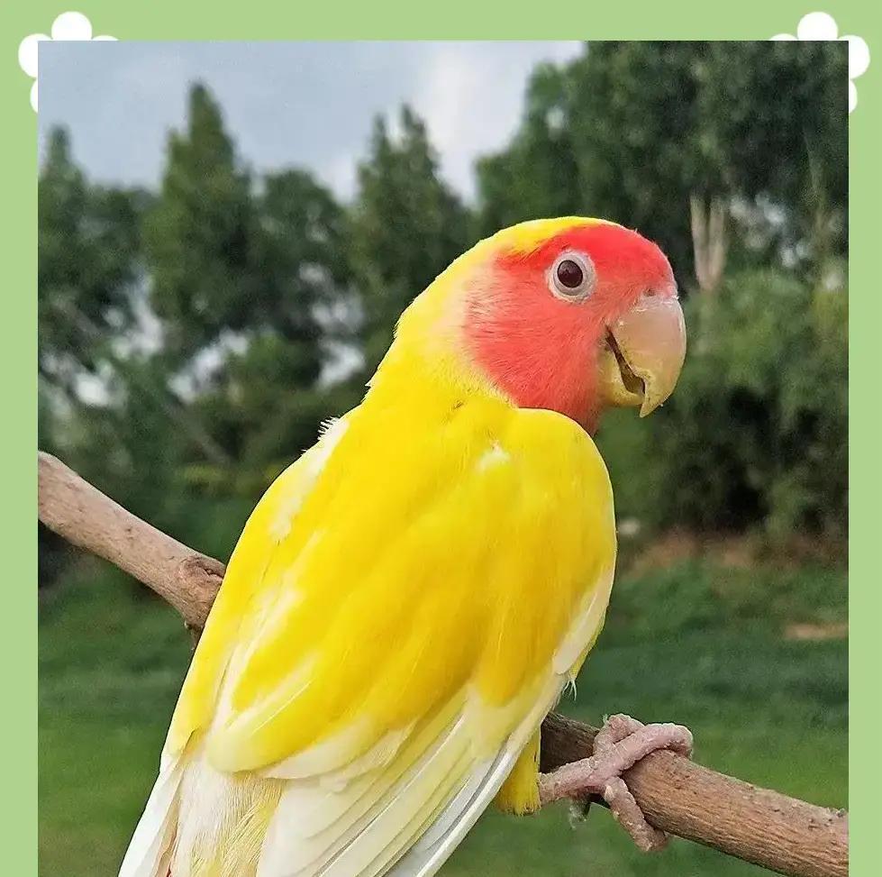 508家红的。全市场。

这行情，惨不忍睹。
最惨的不是被套的。
是那种，前天受