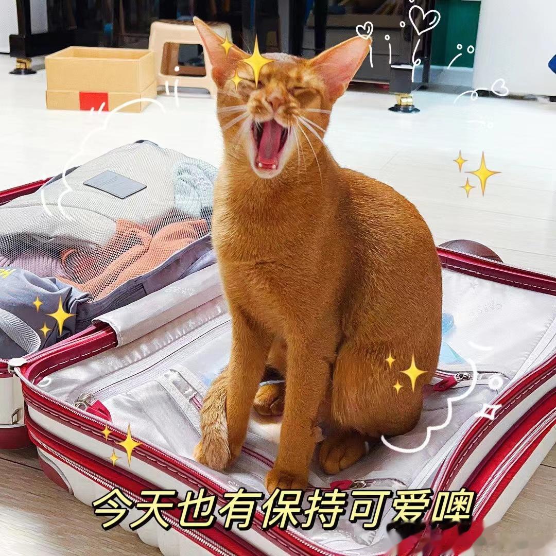 #今天##随手拍# 总结下五月：🎨知乎3篇圆桌精选🎨收到了“2023好物推荐