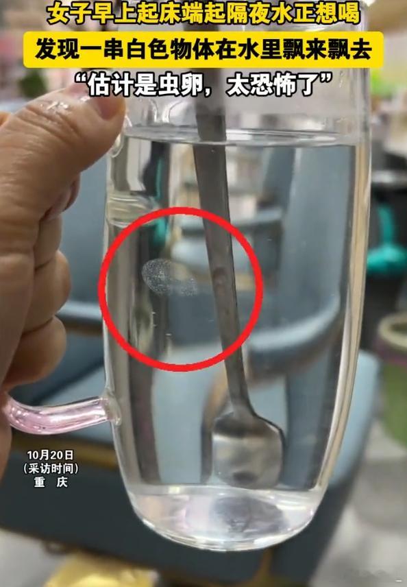 女子早起喝隔夜水发现疑似虫卵物 没用嘴接触过的水是可以隔夜的，但是喝过了的水隔夜