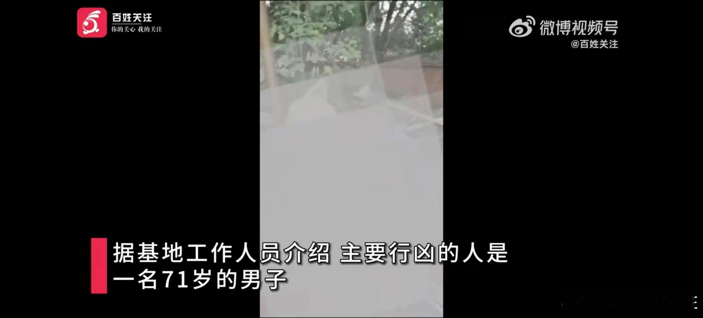 #杀流浪狗伤人老人已被警方控制#看罢“爱狗人士”同仇敌忾万众一心很是感动！[哈哈