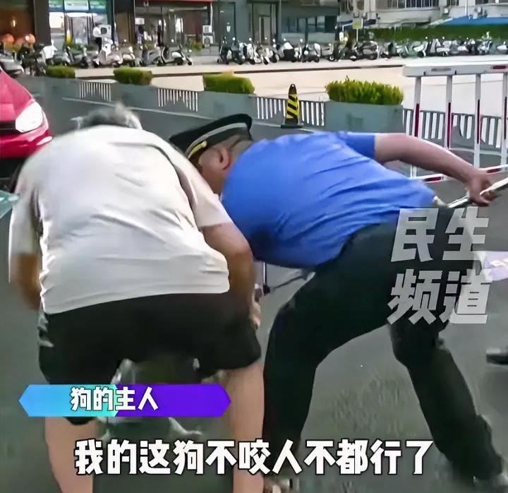 “我的狗不咬人”
执法大队把狗捕住了，老大爷才知道错了。前一秒还背着手悠哉悠哉的