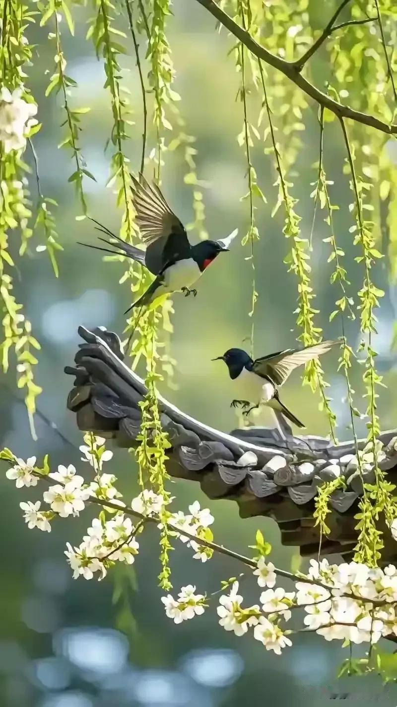 《四季闲吟》

文/识途的黑马
 
春来原野绽繁花，
夏赏芙蓉映荷塘。
秋撷东篱