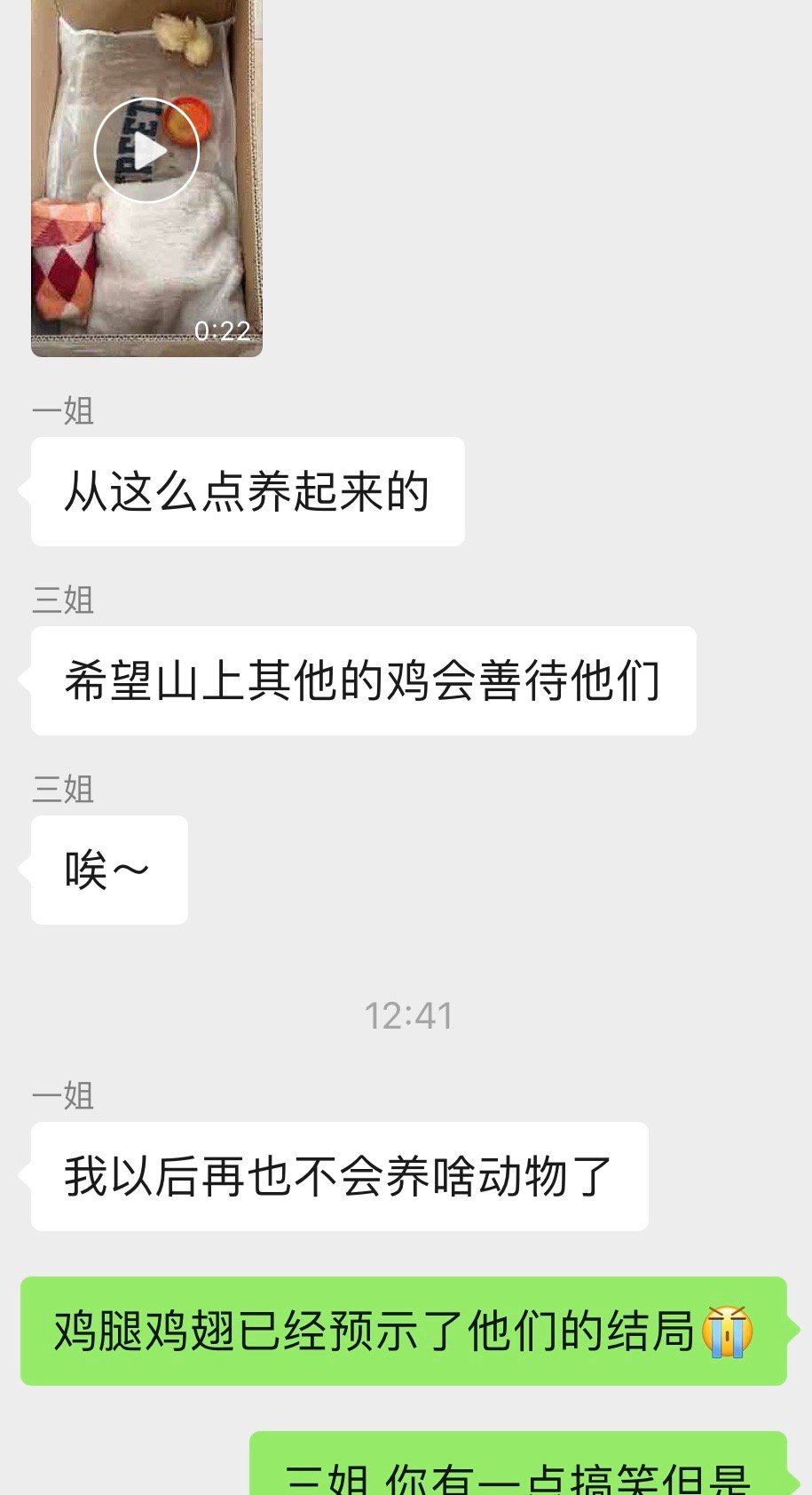 姐姐给宝宝养的两只小鸡，分别叫“鸡腿”和“鸡翅”，已经养到快能打鸣的程度了，很无