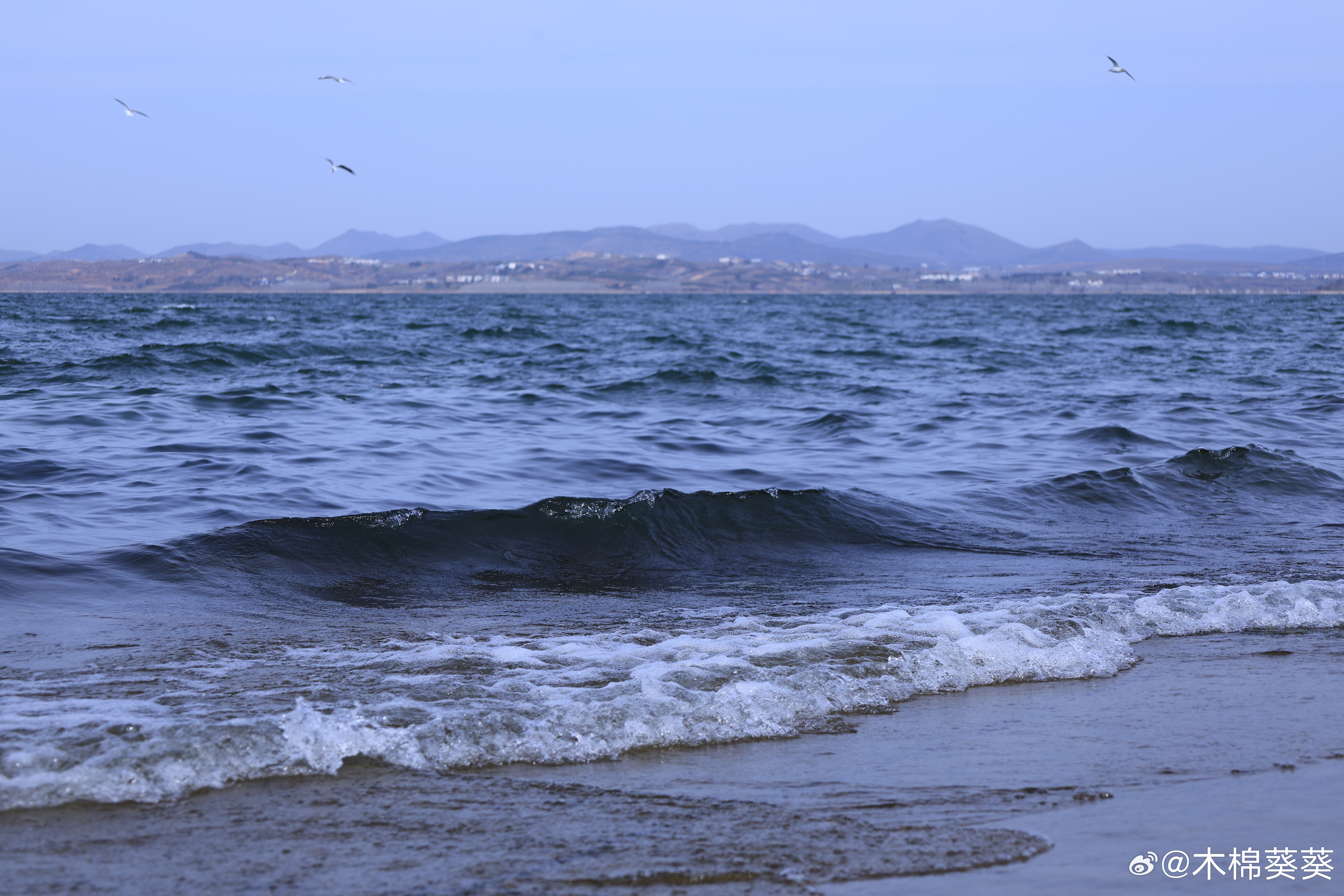 冬季到南阳来看海 