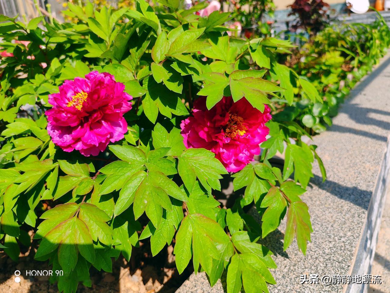 一个女人过得好不好，别听她说什么，看这2个地方就多了 
那些朋友圈里天天晒幸福的