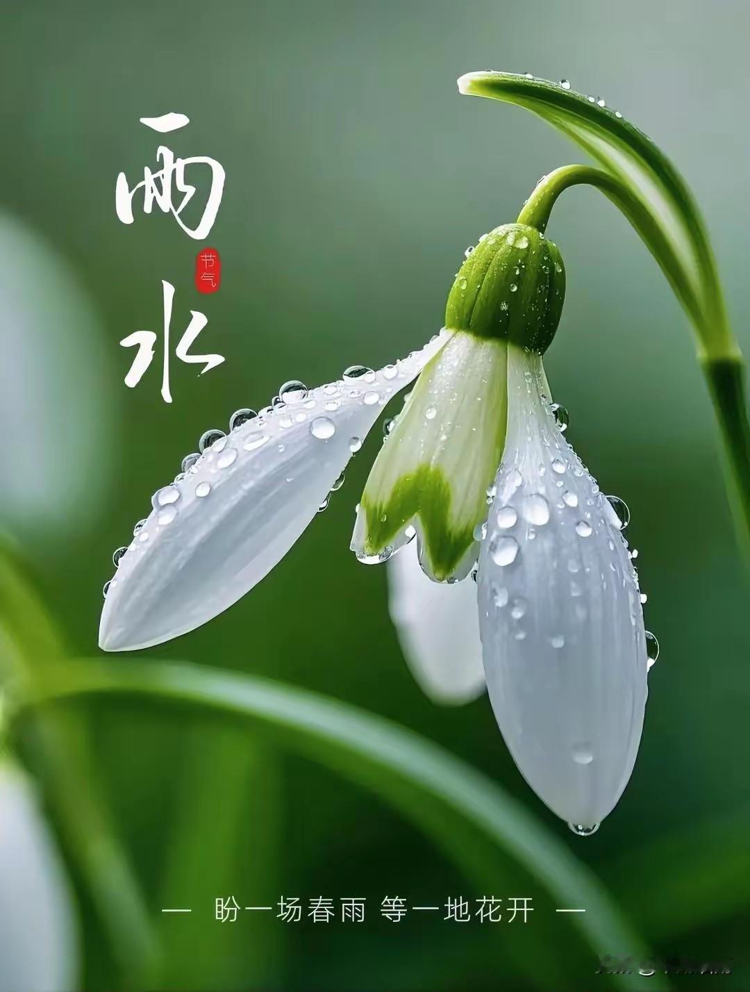 ╭────✦✦────╮
₂₀₂₆.₀₂.₁₈ 初二 • 雨ོ水ོ
╰────✦