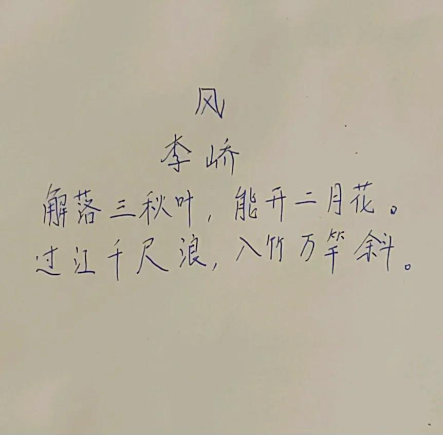 第41天，风的本领真大！[赞][赞][赞]