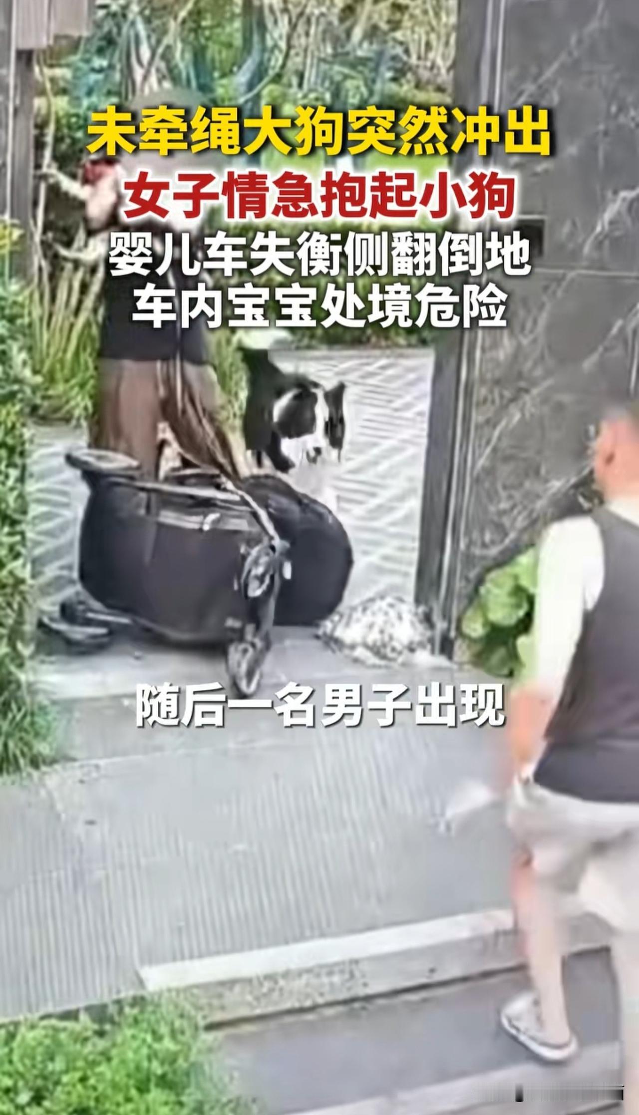 【下意识的反应说明了谁重要[微笑]】 女子做得很对，只有养狗的才懂，孩子没了可以
