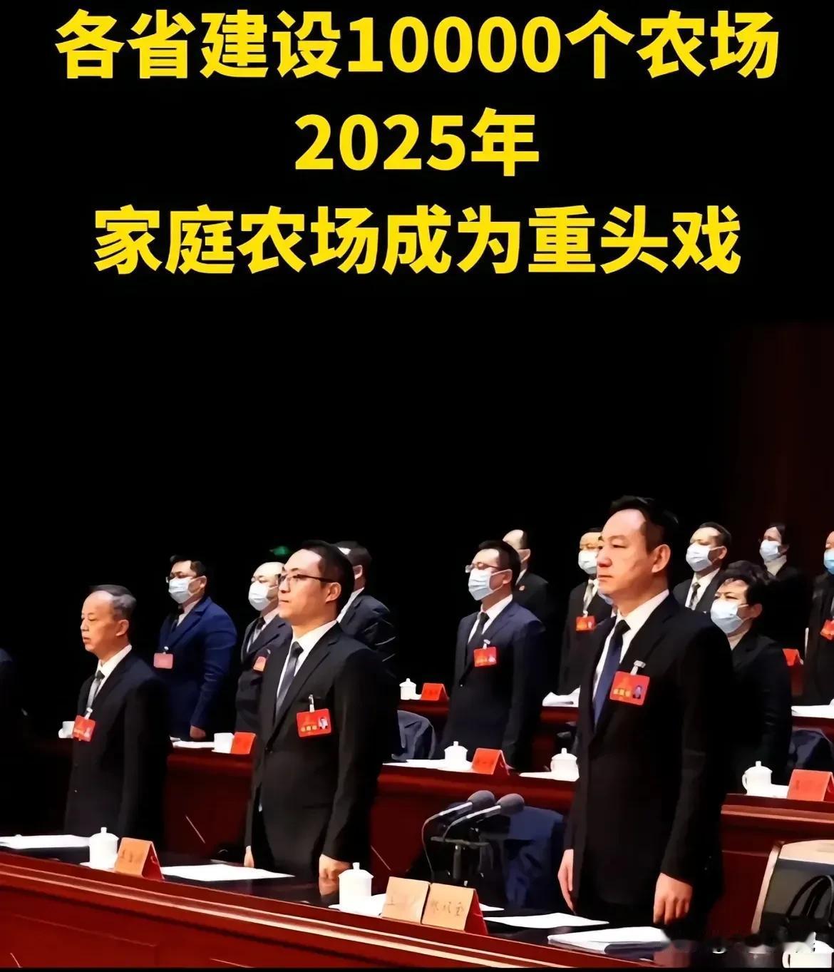 2025年一号文件，企业可以到农村收地，搞“农村集体经济组织”。

收地干什么？