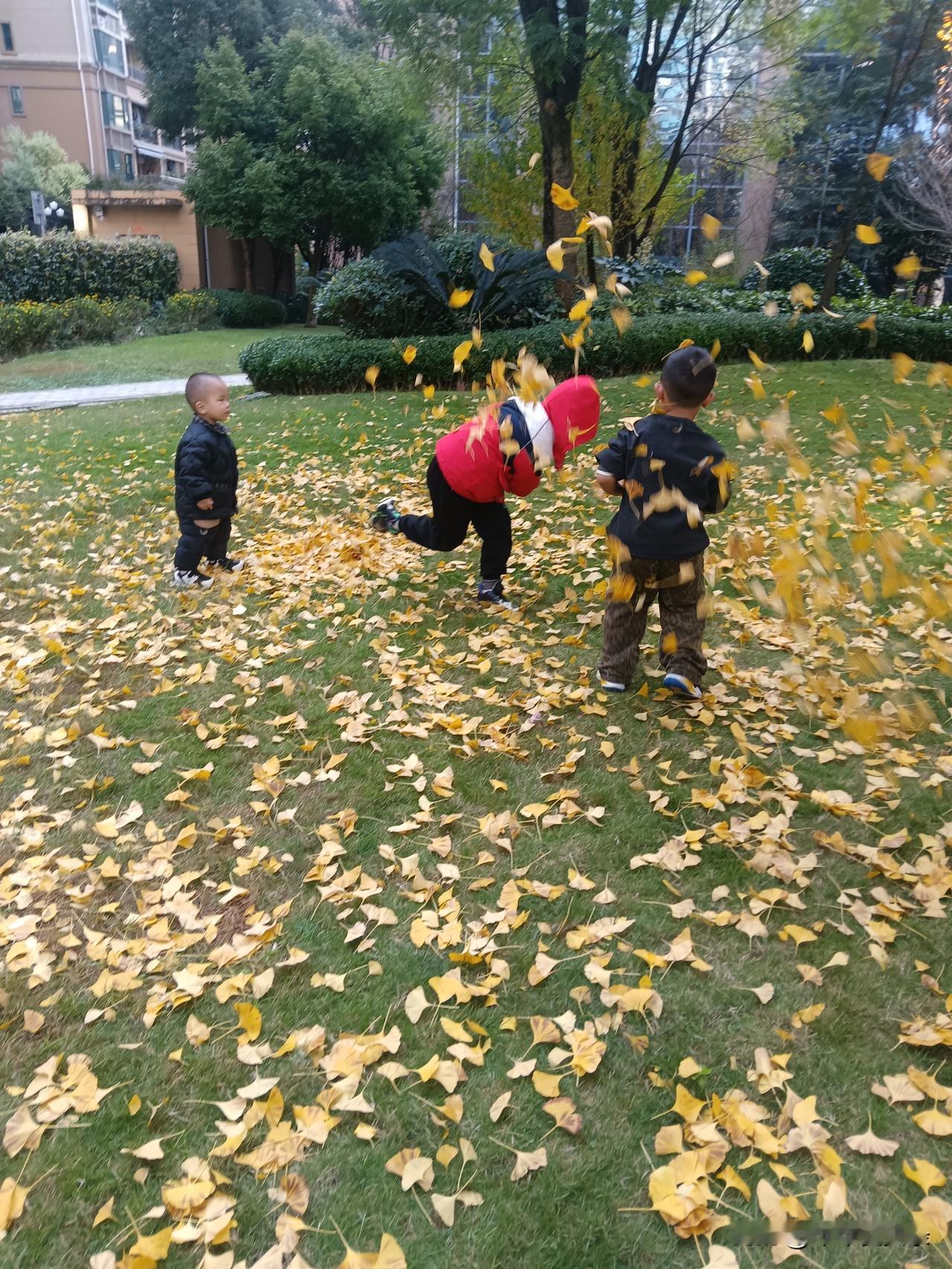在这冬日暖阳的时光里，在金黄色银杏叶的陪伴下，小孩们玩得不亦乐乎的，又笑又跳，小