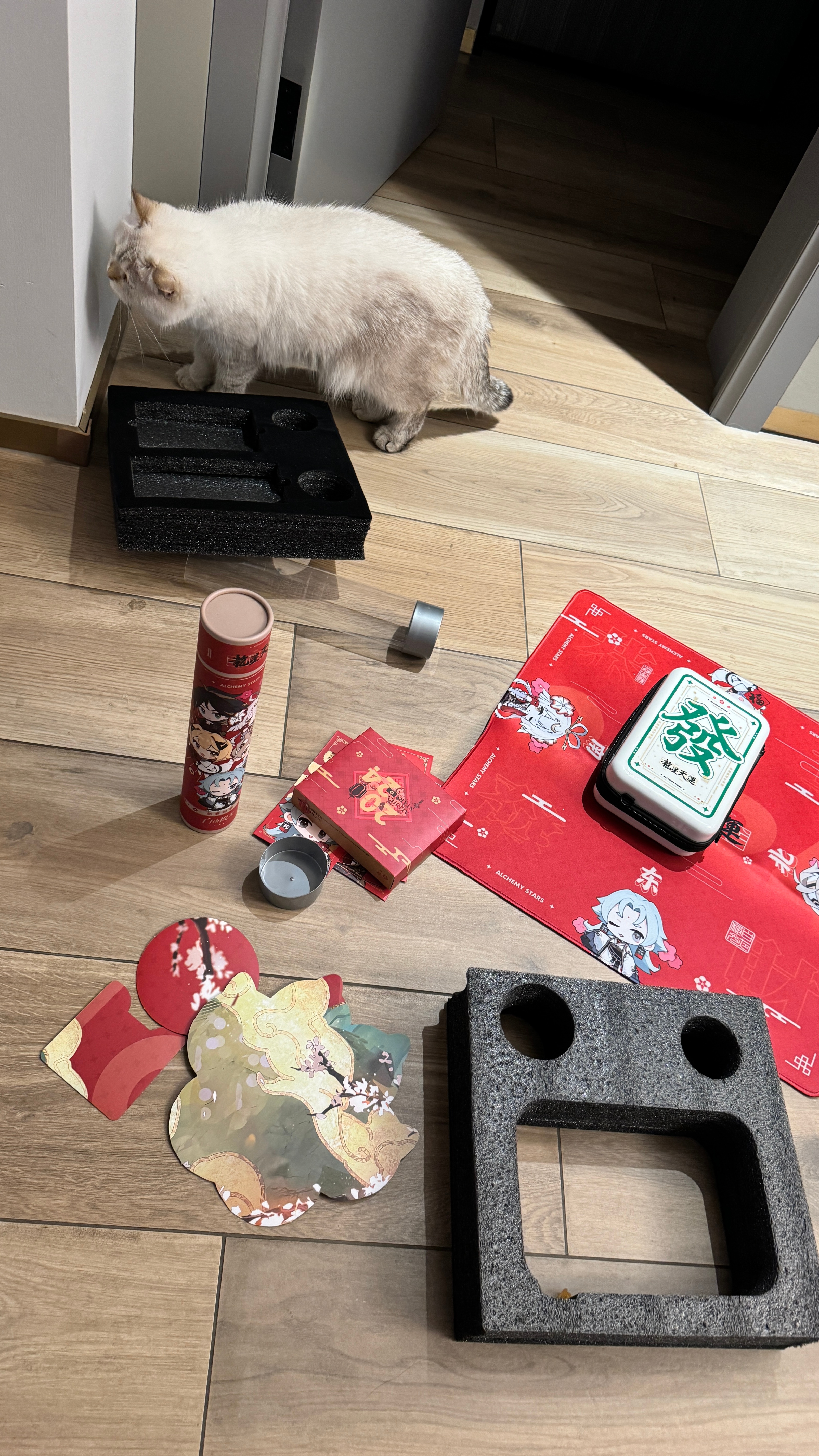 白夜的新年礼盒把几块可拆卸的纸板拆下来居然是猫窝啊！！【不过Leo完全不给面子绝