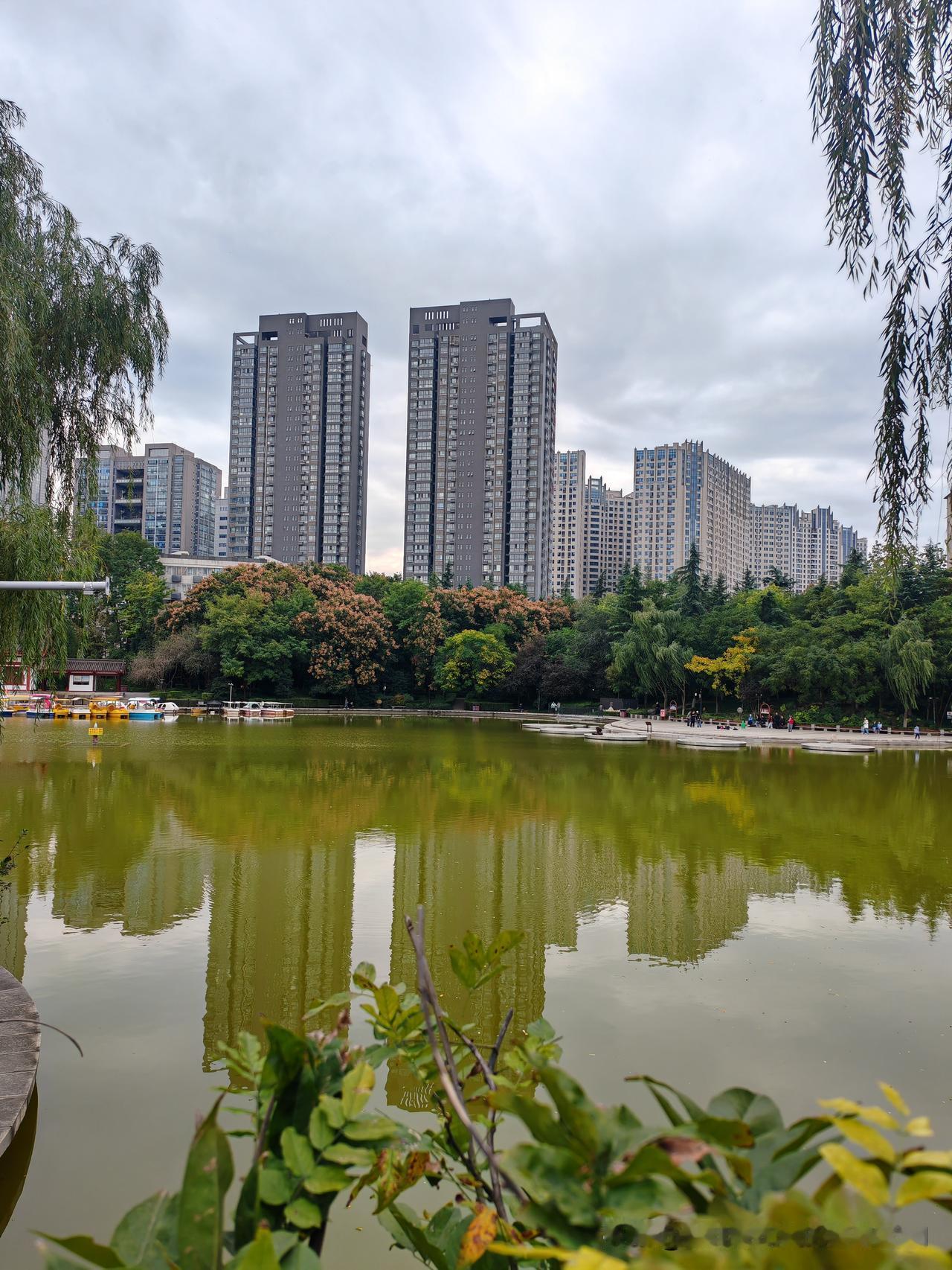 孩子刚刚进门，下午早回来了一会，陪我和他爸爸出去转转，可能觉得这几天不好意思。