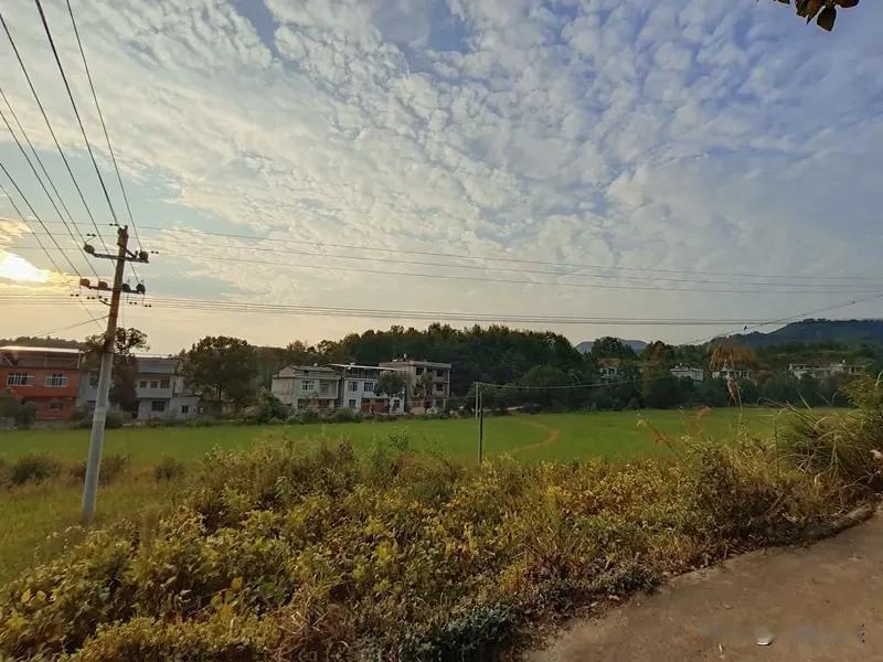 农村的风景好美,你们喜欢农村吗? 农村的风景真的绝美！就拿村里的小池塘来说，春天