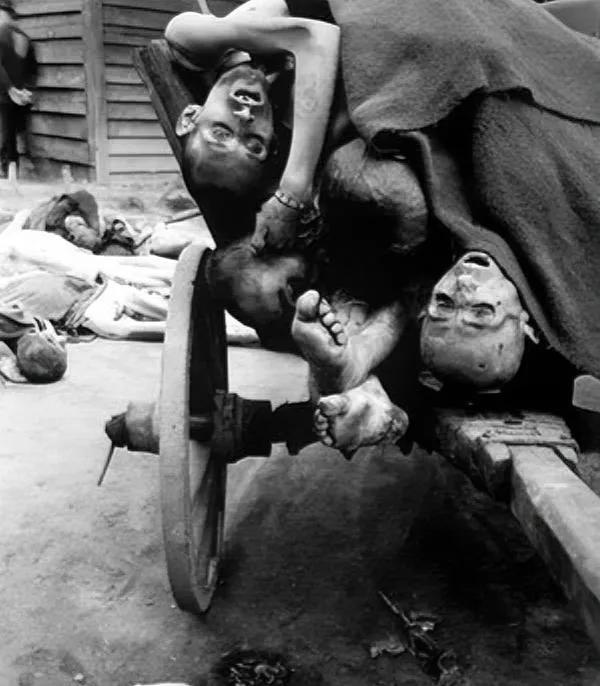 1945年，奥斯维辛集中营被解放时，遇难者的尸体，仔细看他们的面孔已经无法辨认，
