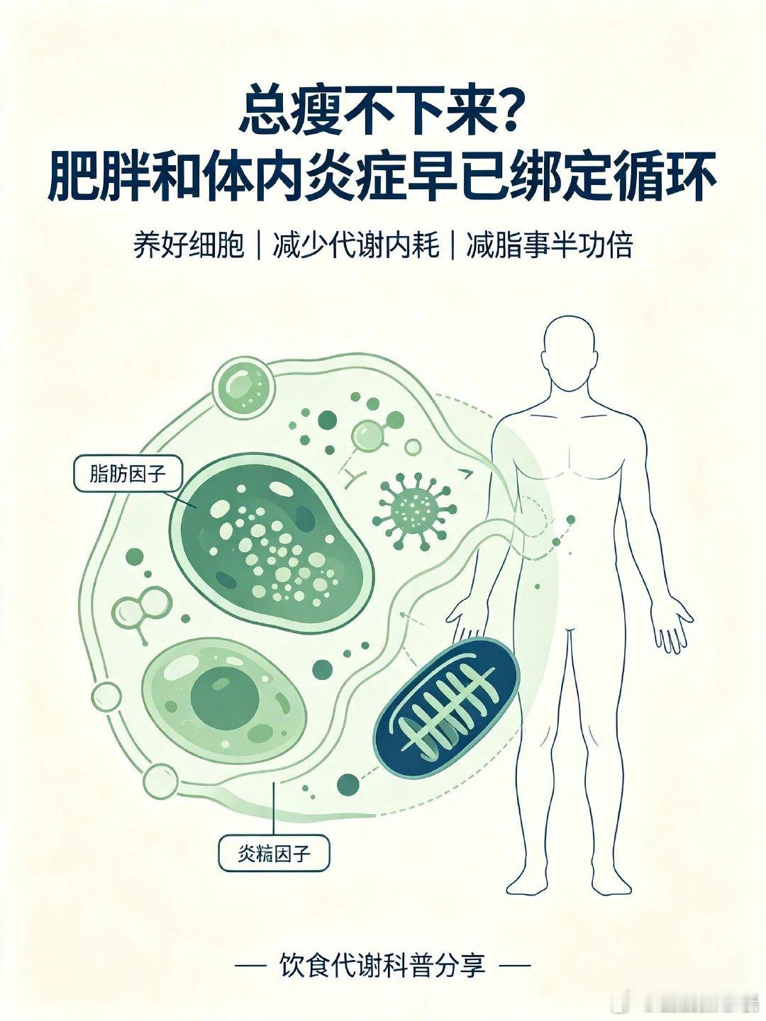 在北京原来减重也有冠军打法 本来是刷同城想找个靠谱的减脂路子，结果被老北京靠逛胡