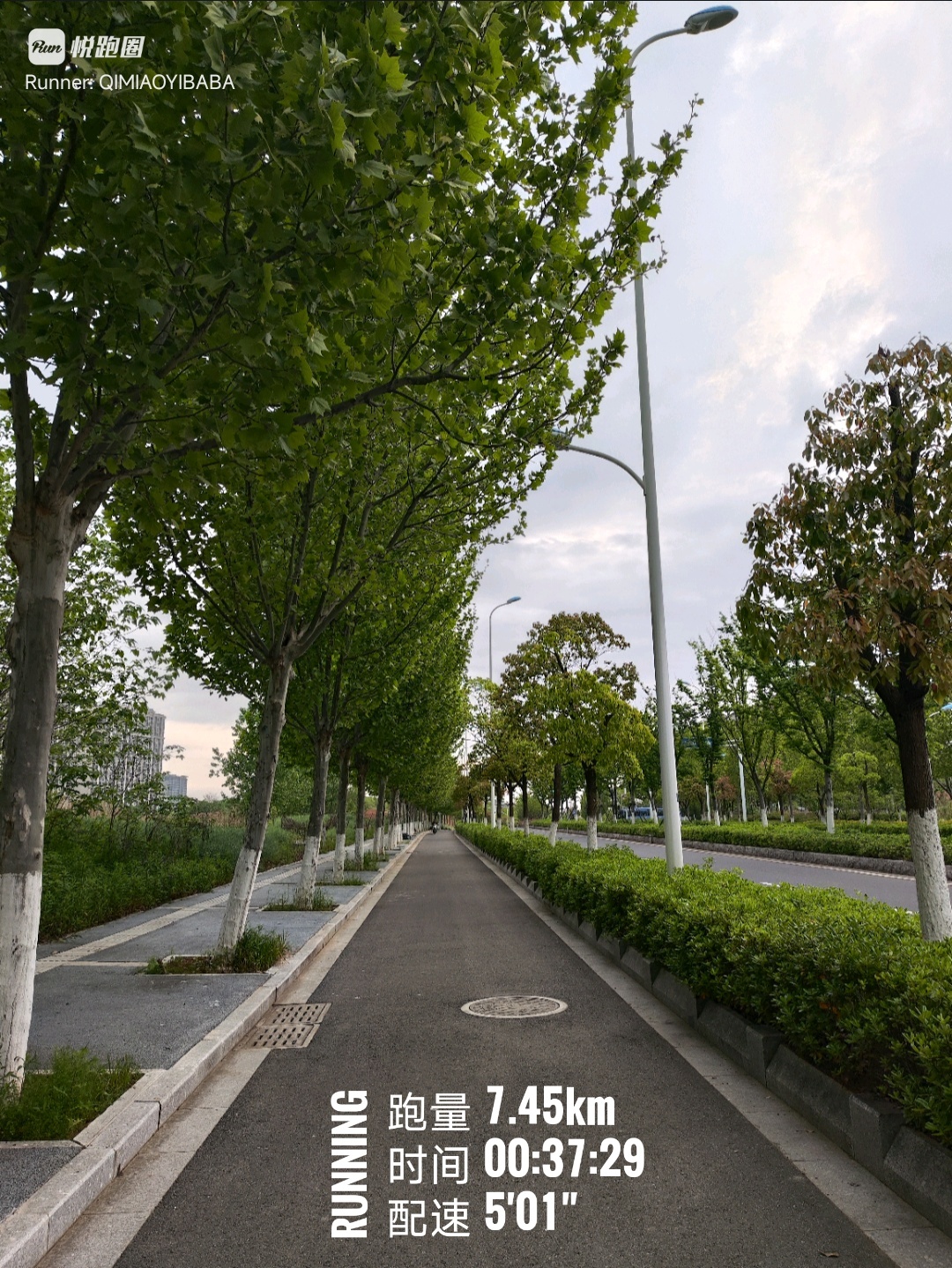 南方水草丰茂，春末夏初绿意盎然，不像北方，单杠正手引体向上10个，反手悬吊卷腹3