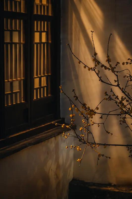 上联:碎雨青灯孤巷冷，邀对下联？残阳孤盏深院寒。