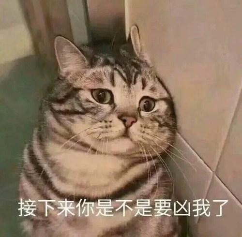 随便说说的，大家看着玩就好。之前玩ETF基金发现这么个规律：就是价格一旦接近你的