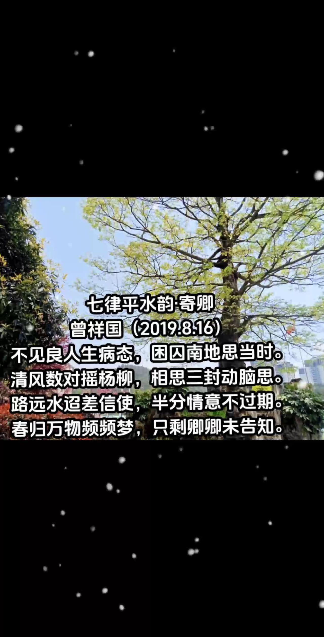 寄卿 寄卿