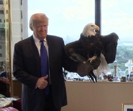 中国要给巴基斯坦。
40架歼-35？
这事听着挺玄乎。

巴基斯坦确实想买。
但