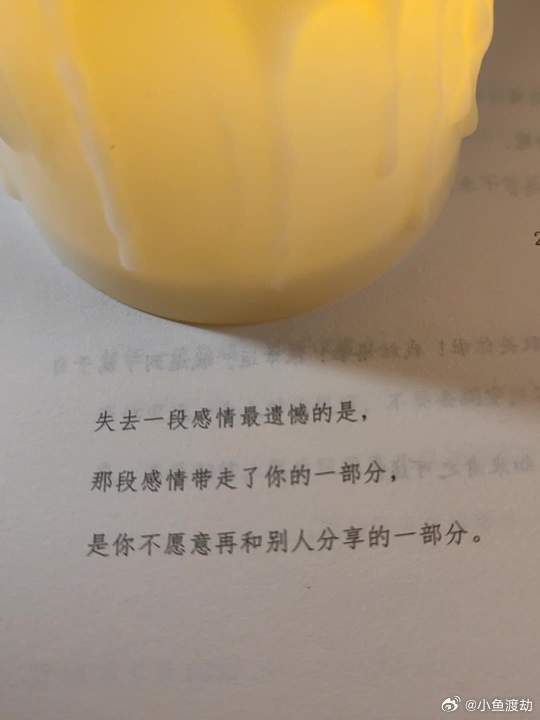 失去一段感情最遗憾的是，那段感情带走了你的一部分，是你不愿意再和别人分享的一部分