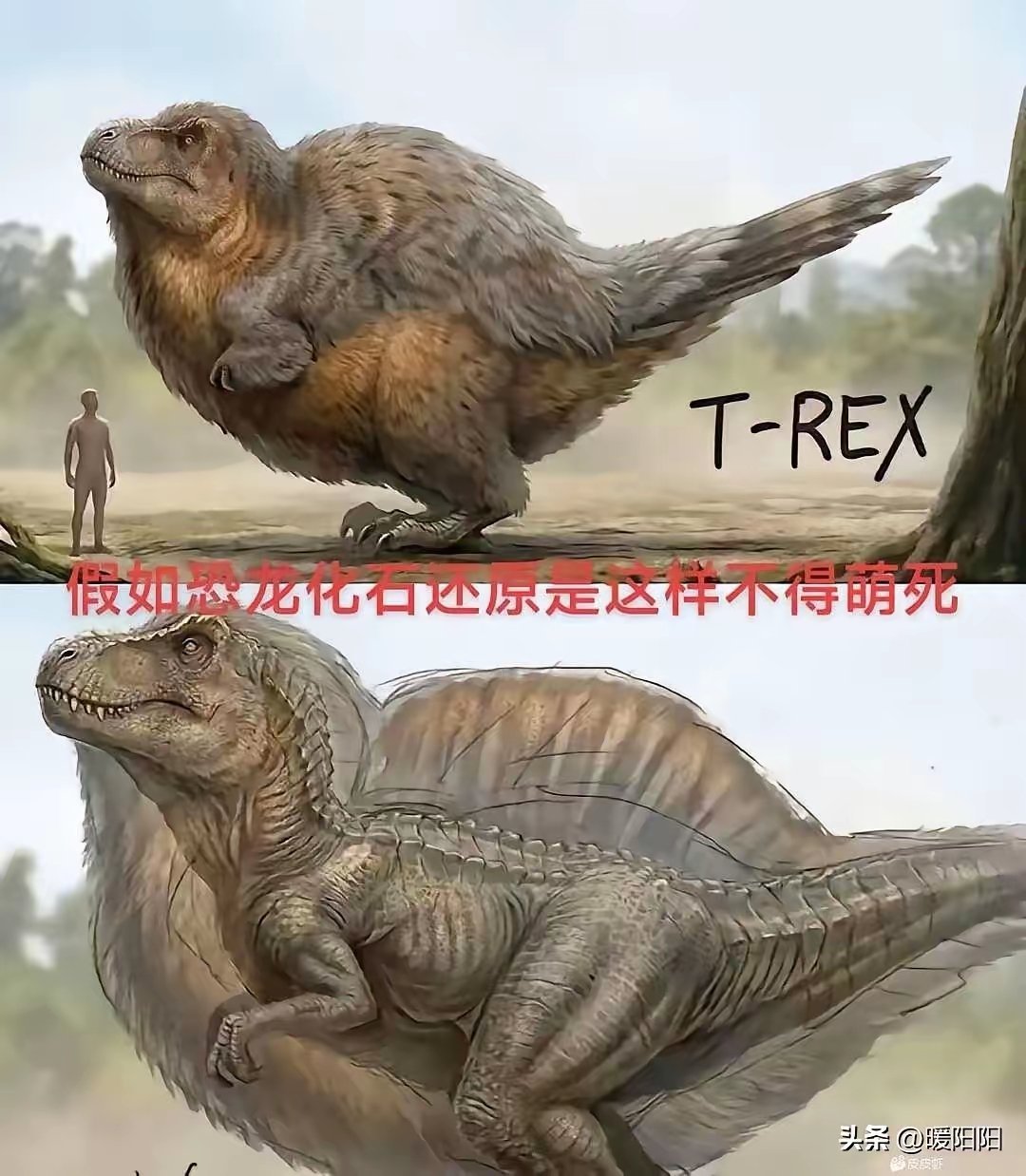 恐龙有毛吗？ 