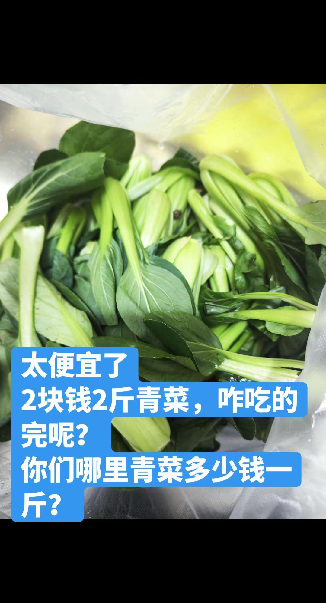 现在的青菜都没有人要了吗？真便宜！ 昨天下午去晚市买菜路过一个三轮车拉了一车青菜