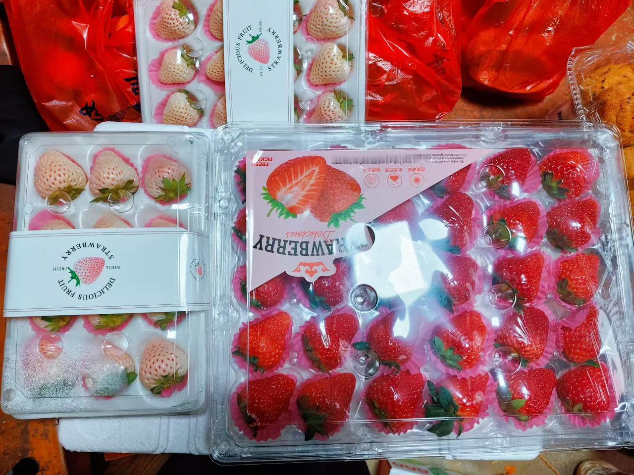 没背景没靠山，普通人凭什么逆袭？刘嘉森的话戳破了最现实的真相：别抱怨出身，别迷信