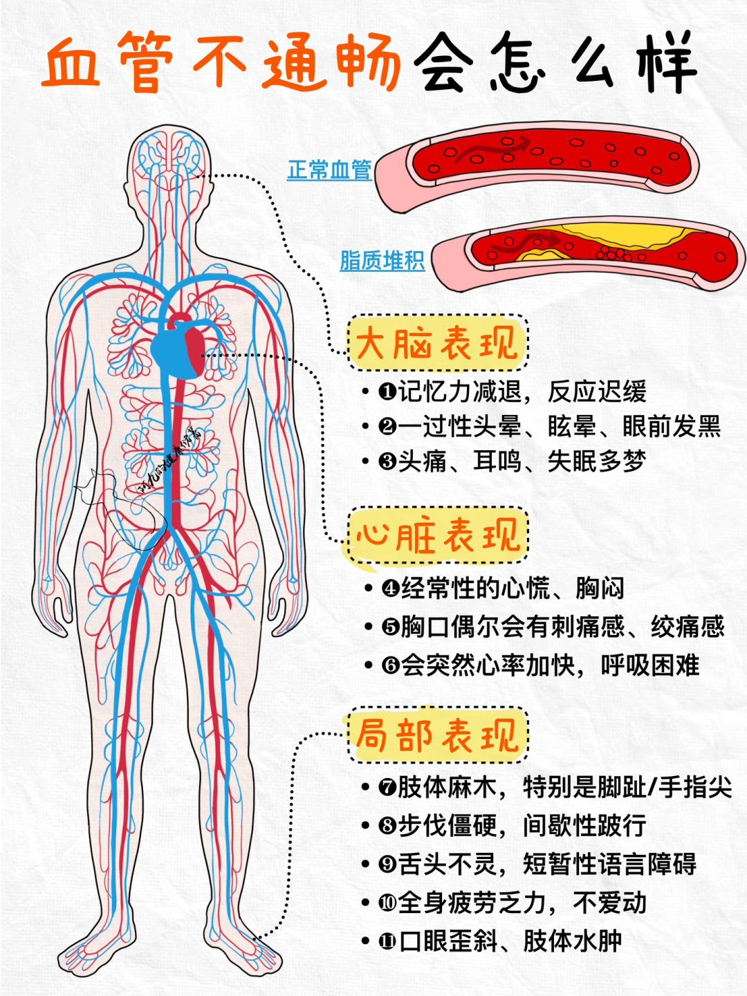 ‼️千万别让血管堵塞|✅适用于99%的人