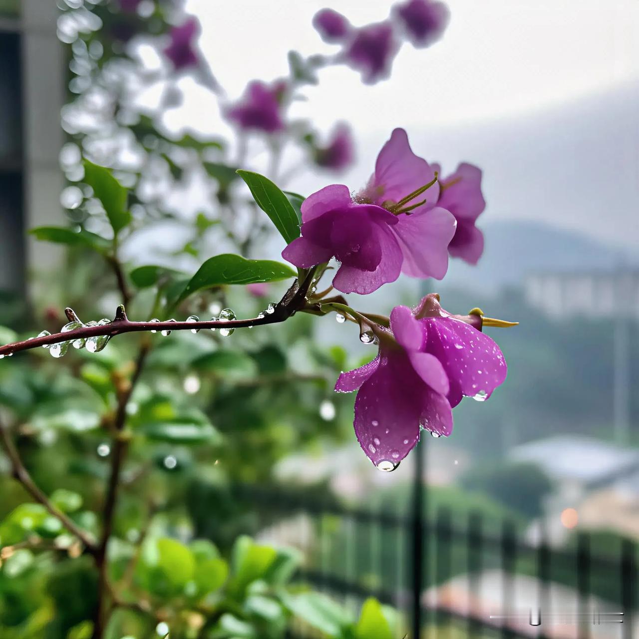 人生不会因一场突如其来的风雨，而失去所有的阳光，旅程也不会因一处泥泞的坎坷，而终