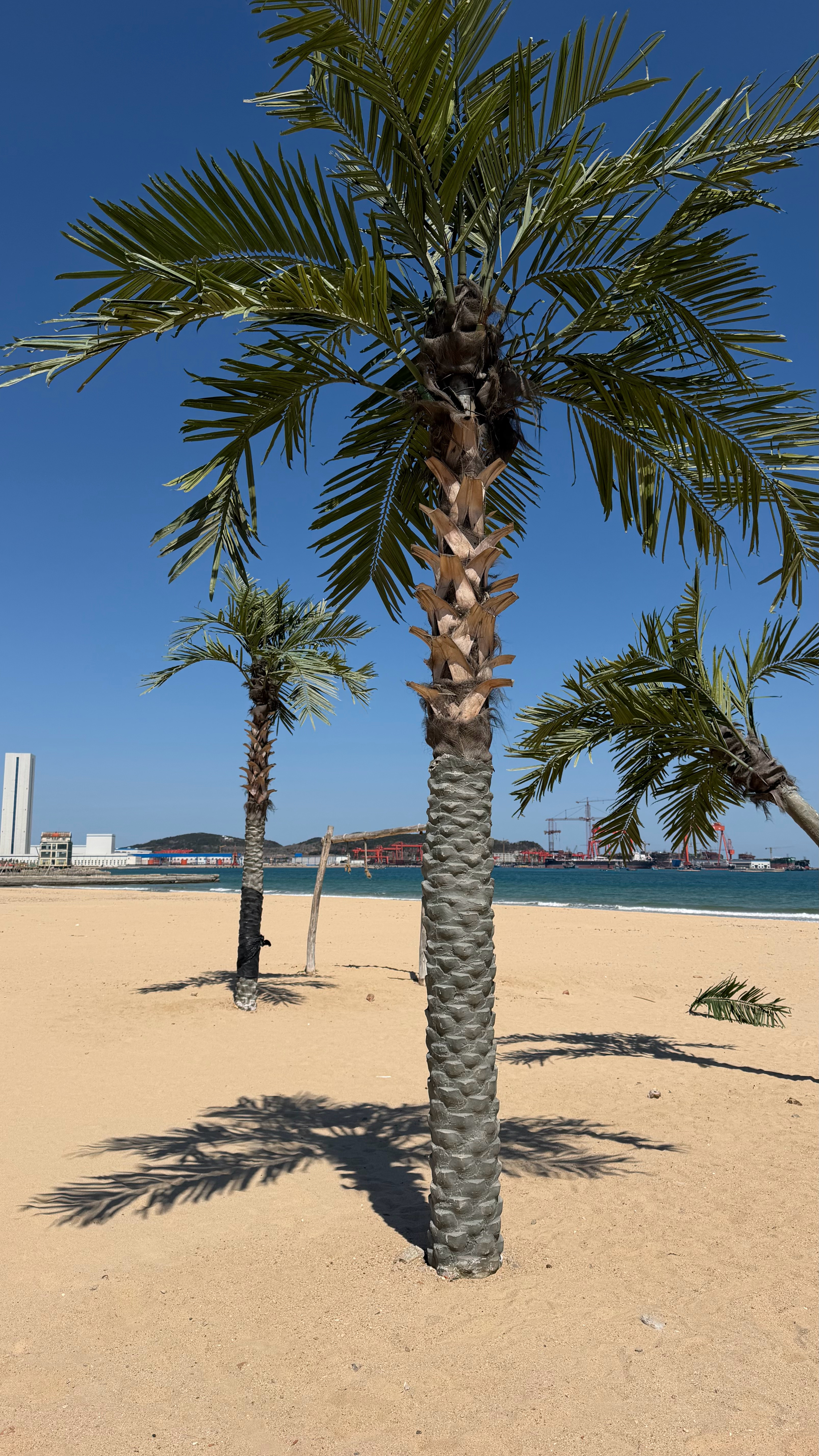 今天沙滩上一个人都没有