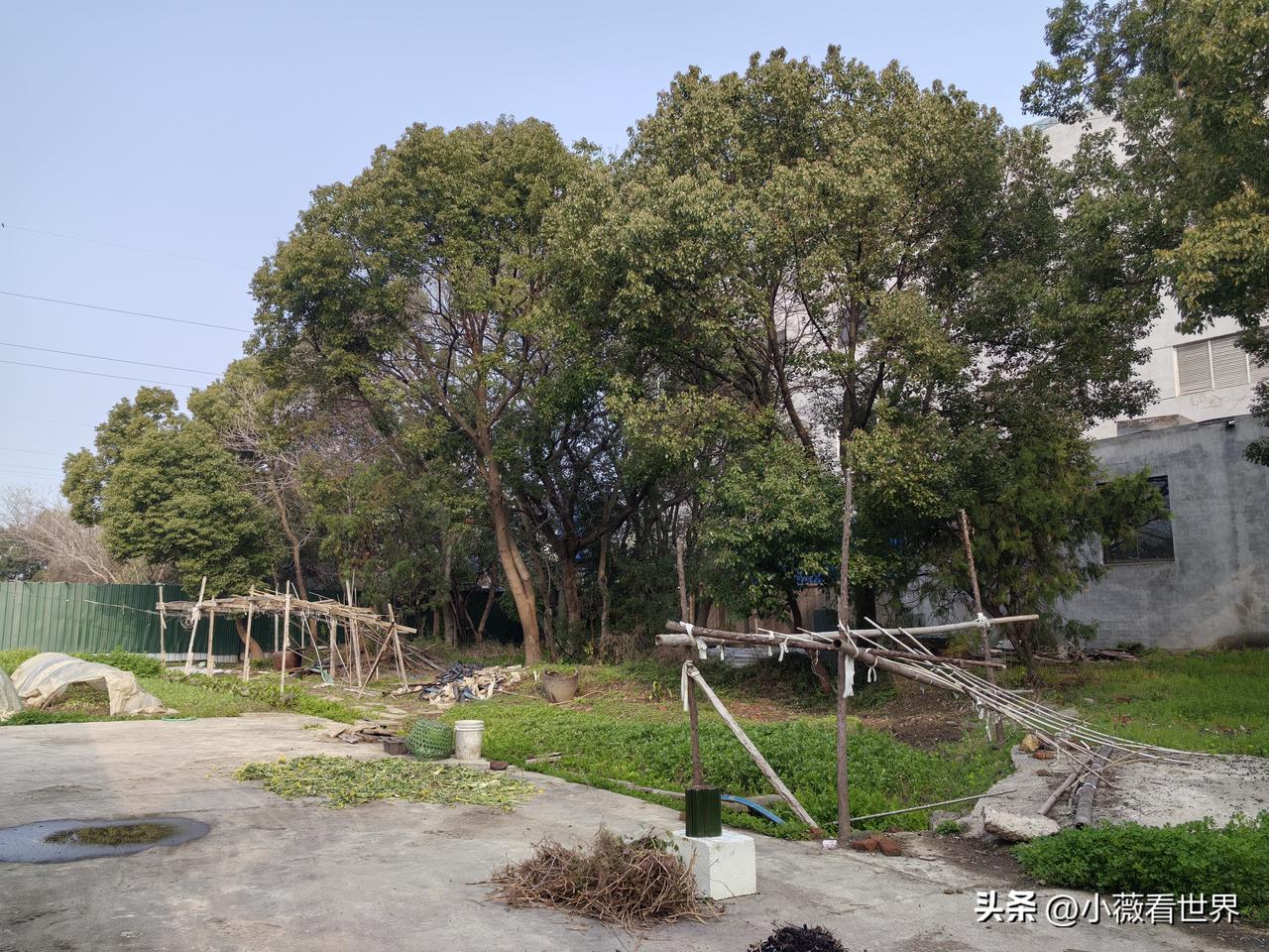 他说他才不怕住在这里的呢！说实在这里确实像世外桃源一样，平时无人打扰，很是清静。